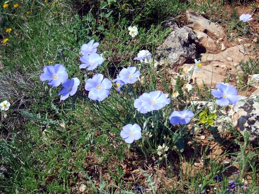 I colori del Gargano